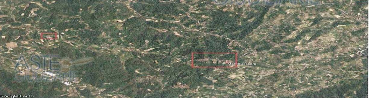 Palazzo - Stabile - foto 5