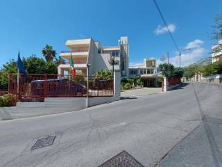 Zona