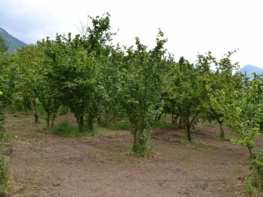 Terreno non edificabile via alimata san c., montefredane