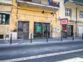 Zona