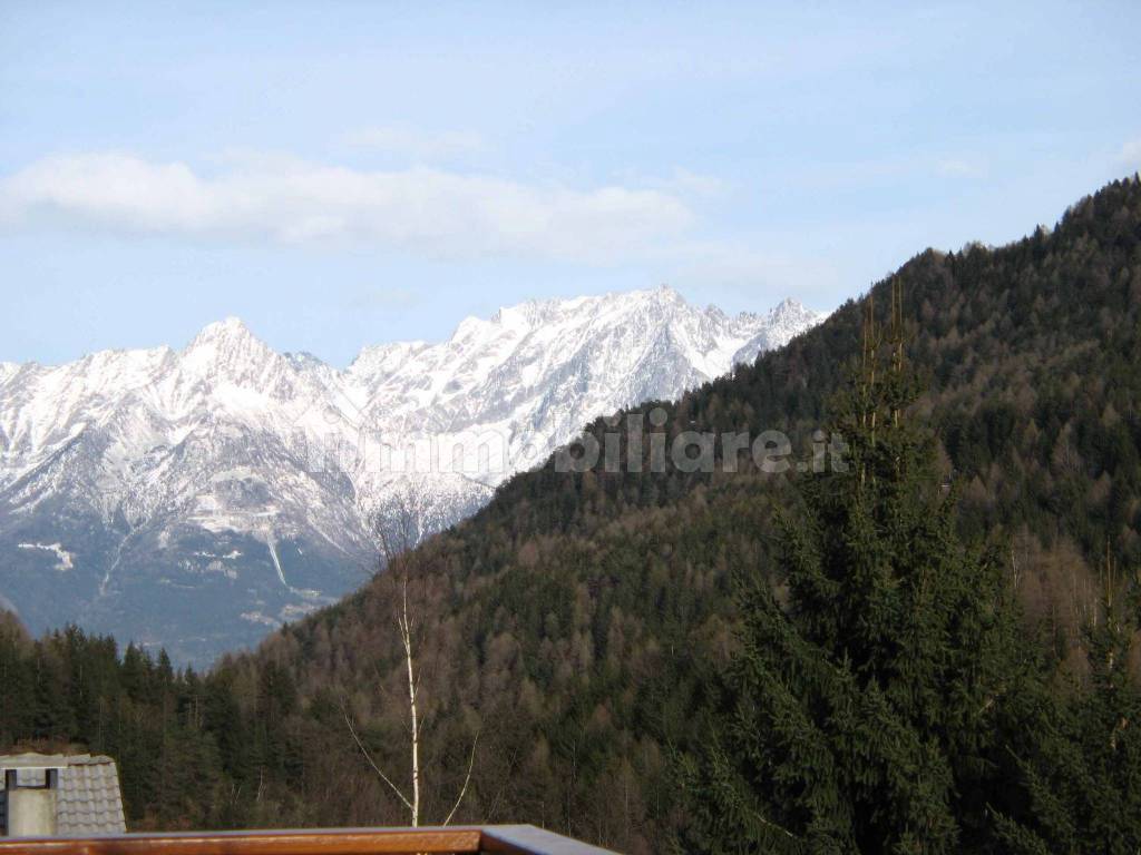 Vista