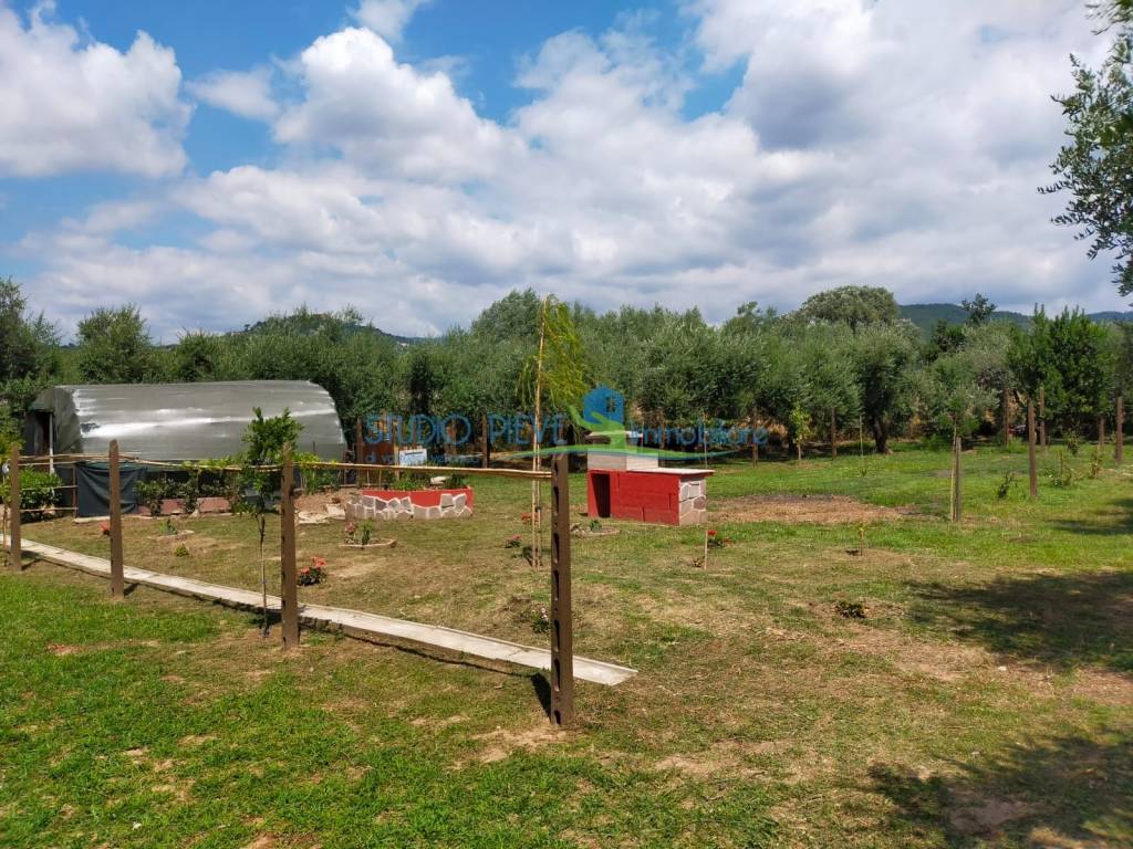 Terreno agricolo via paradiso, centro, monsummano terme