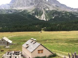 Vista