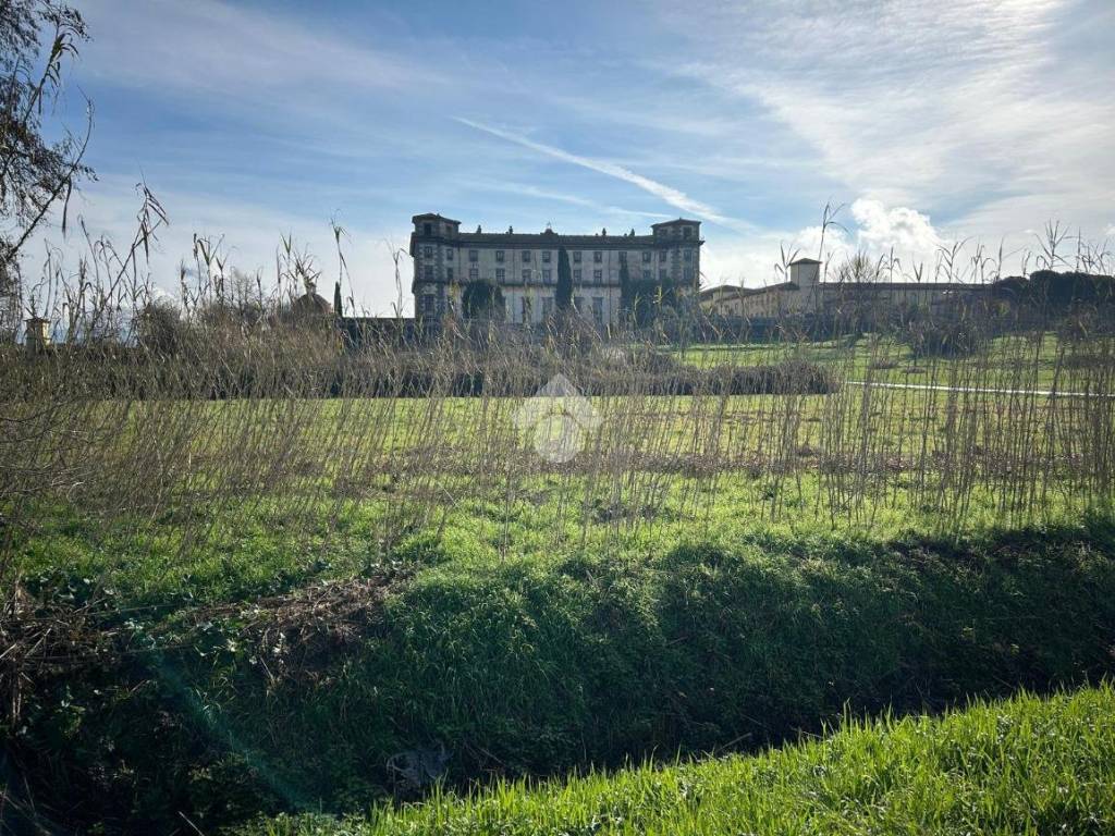 Terreno agricolo via del molinetto, borgo a buggiano, buggiano