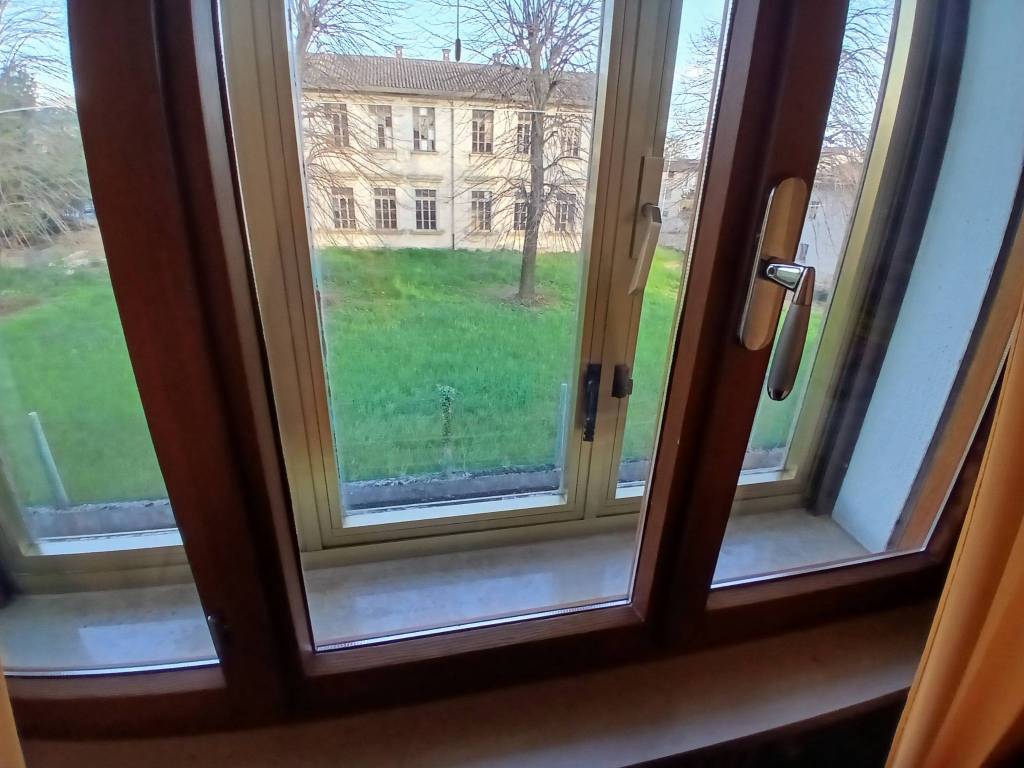 Vista