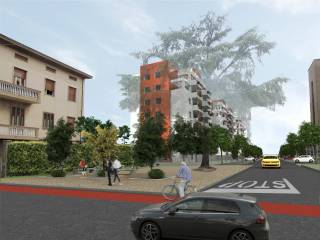 Zona