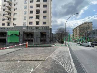 Zona