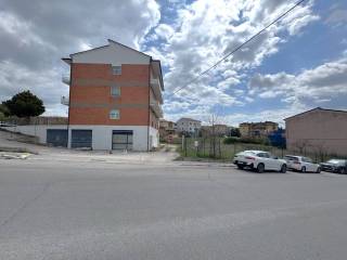 Zona