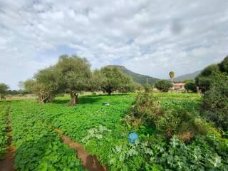 Terreno