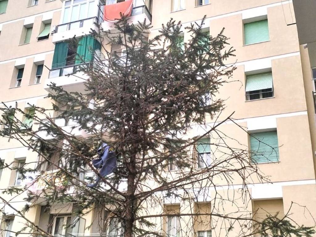 Bilocale via delle sette fontane 49/2, settefontane, trieste
