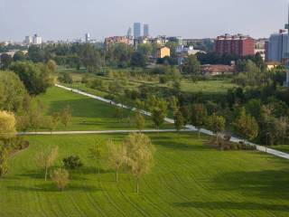 Vista