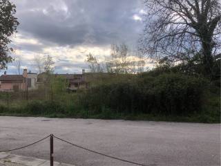 Zona