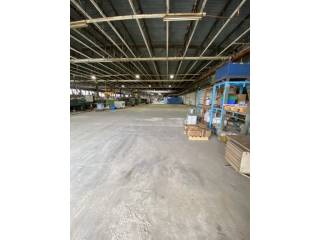 Magazzino