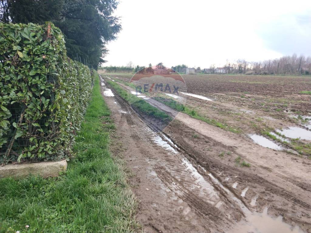 Terreno agricolo, vittuone