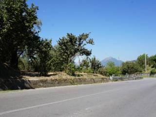 Zona