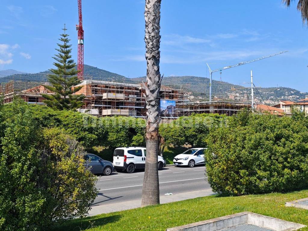 Zona