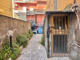 Ingresso