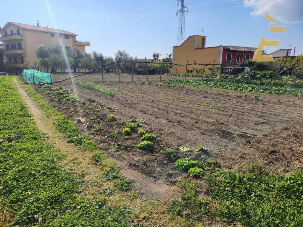 Terreno agricolo via casa dei miri snc, centro, gragnano