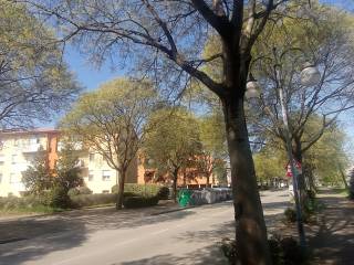 Zona