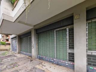 Zona