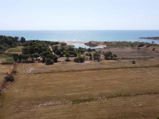 Zona