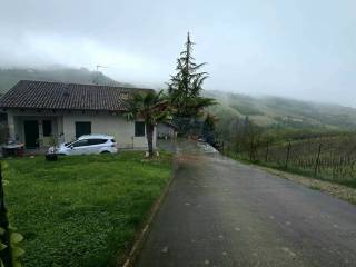 Zona