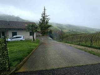 Zona