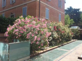 Cortile interno