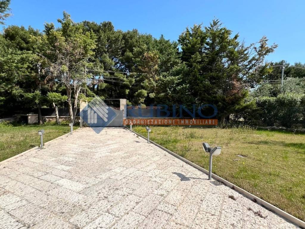 Terreno