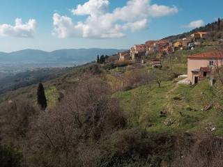 Vista