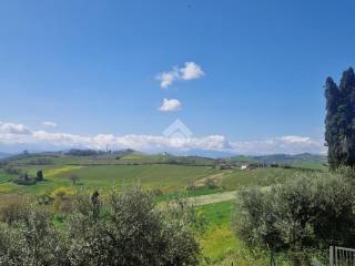 Vista