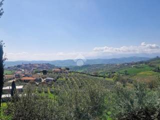 Vista