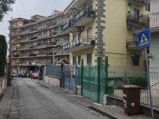 Zona