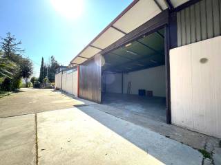Ingresso