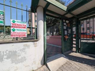 Ingresso