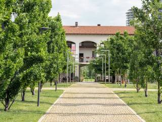 Zona