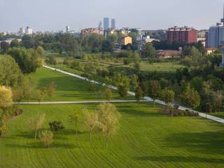 Zona