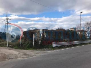 Zona