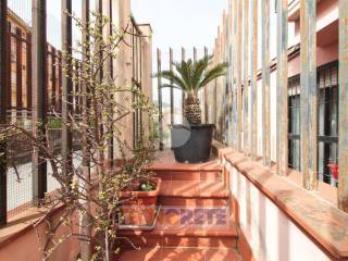 Terrazzo