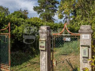 Ingresso