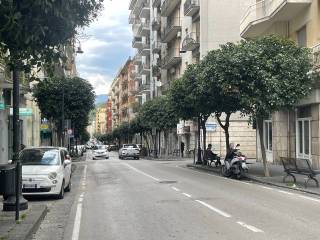 Zona