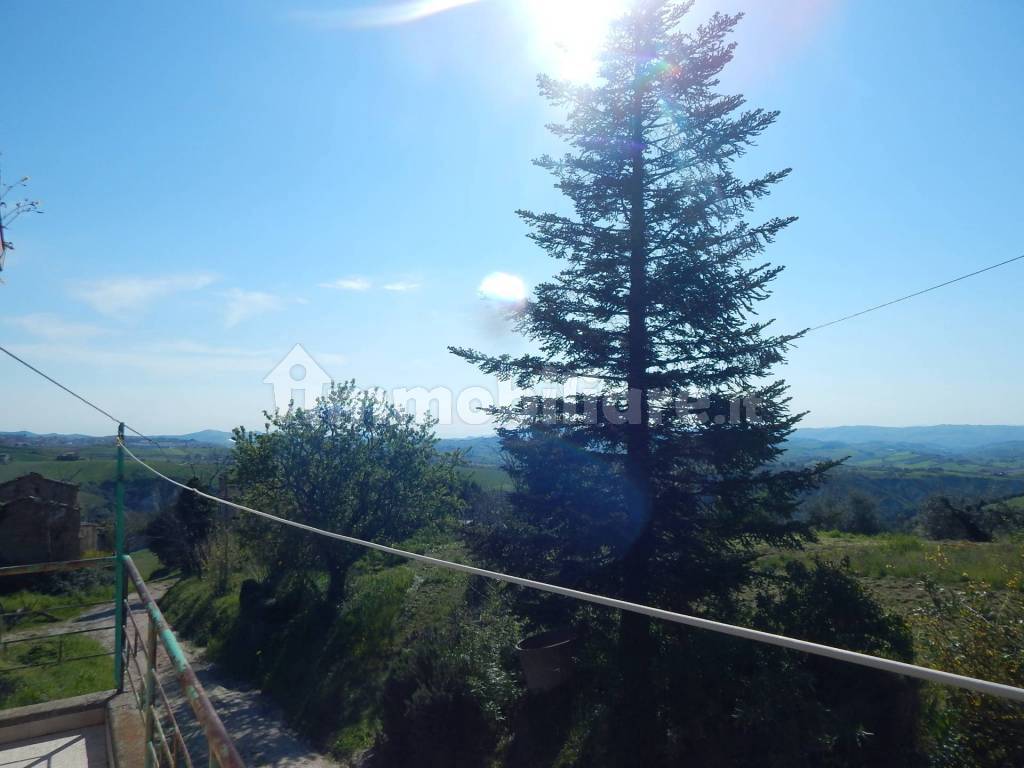 Vista