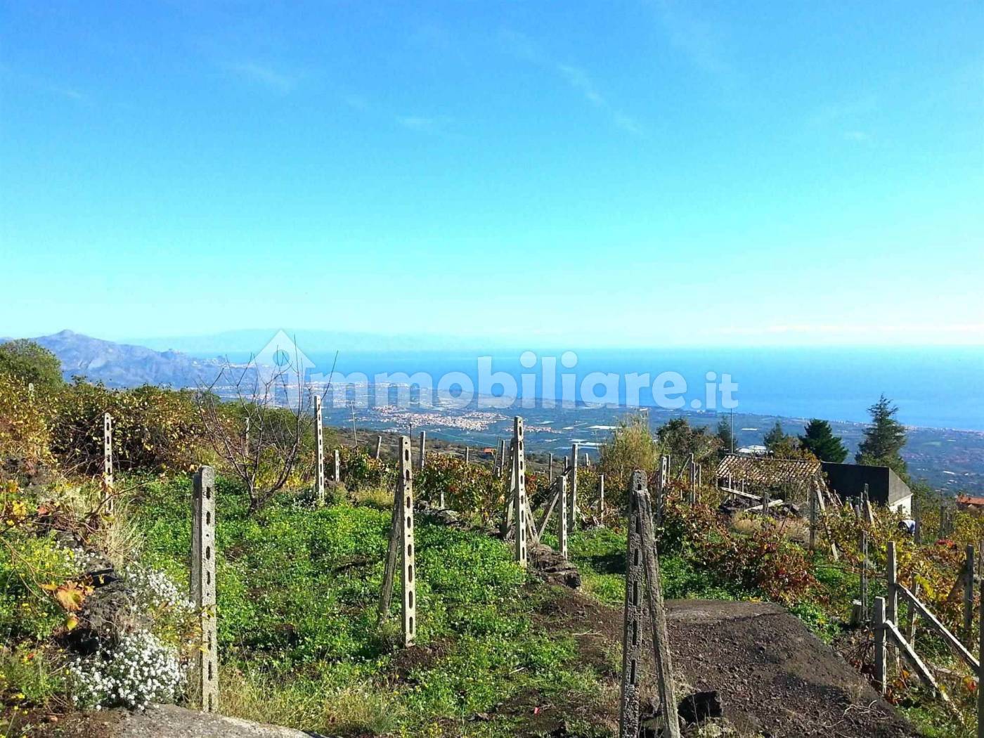 Rustico - Casale in vendita a Mascali