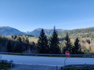 Vista