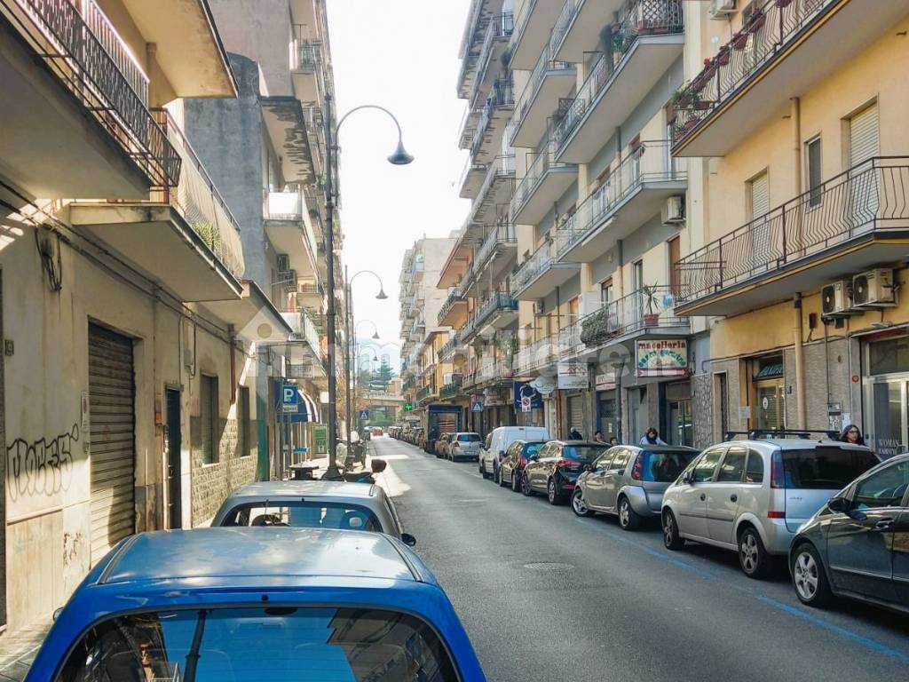 Zona