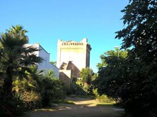 Zona
