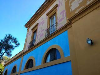 Zona
