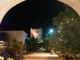 Zona