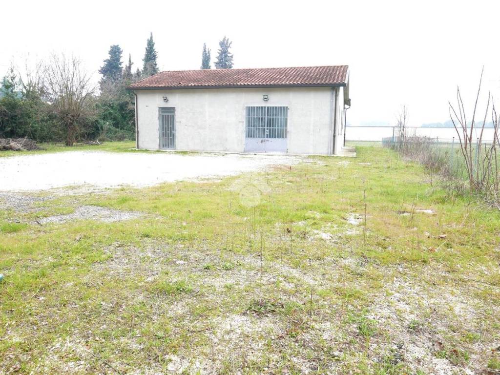 Capannone via ravegnana 241, buscherini - pianta, forlì