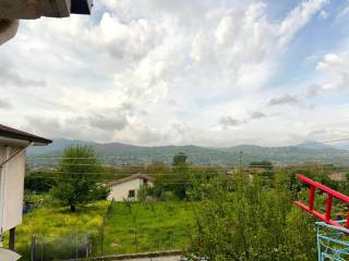 Vista